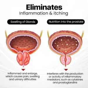 LOVILDS™ ProstaAir Dual-Function Nasal Inhaler LOVILDS™ ProstaAir Dual-Function Nasal Inhaler
