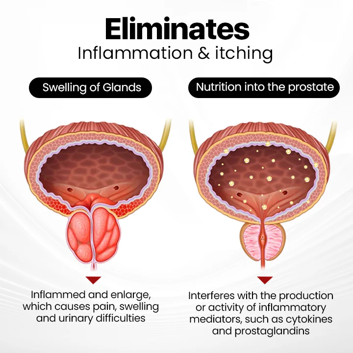 LOVILDS™ ProstaAir Dual-Function Nasal Inhaler LOVILDS™ ProstaAir Dual-Function Nasal Inhaler