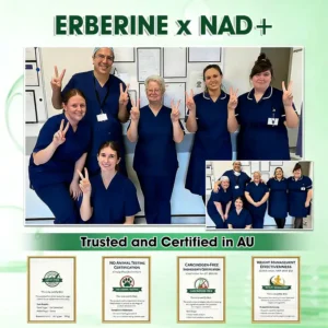 LOVILDS® Moringa Bee Venom Berberine NAD+ 8-in-1 Advanced Nano Microneedle Patch