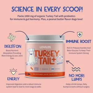 LOVILDS™ Turkey Tail Mushroom + Probiotic Formula