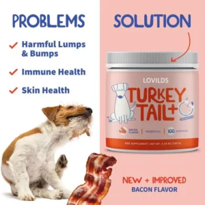 LOVILDS™ Turkey Tail Mushroom + Probiotic Formula