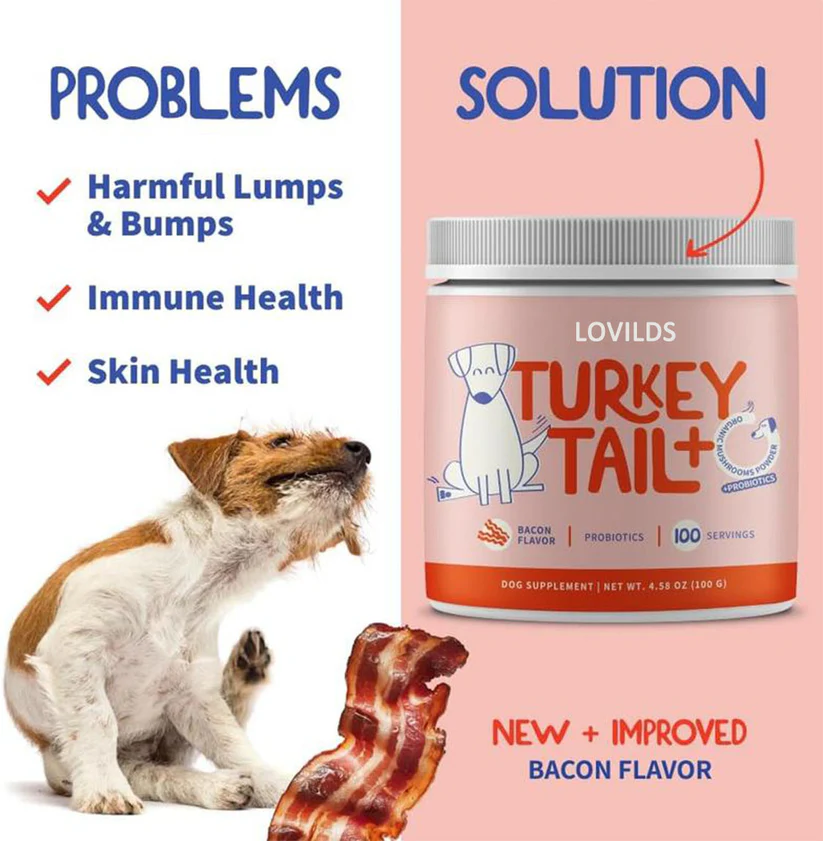 LOVILDS™ Turkey Tail Mushroom + Probiotic Formula